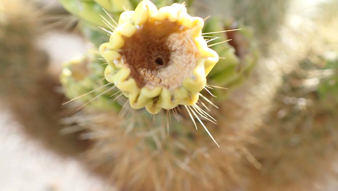 hk22032890.jpg - 49170 Bytes