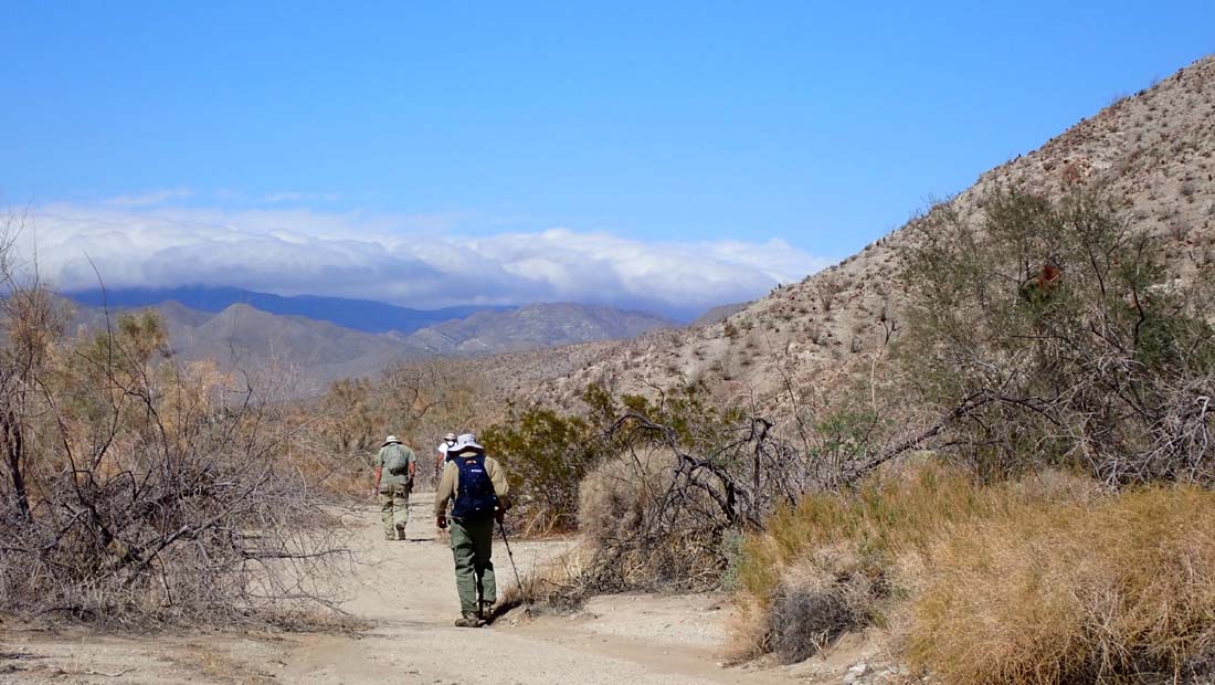 hk22032898.jpg - 132359 Bytes