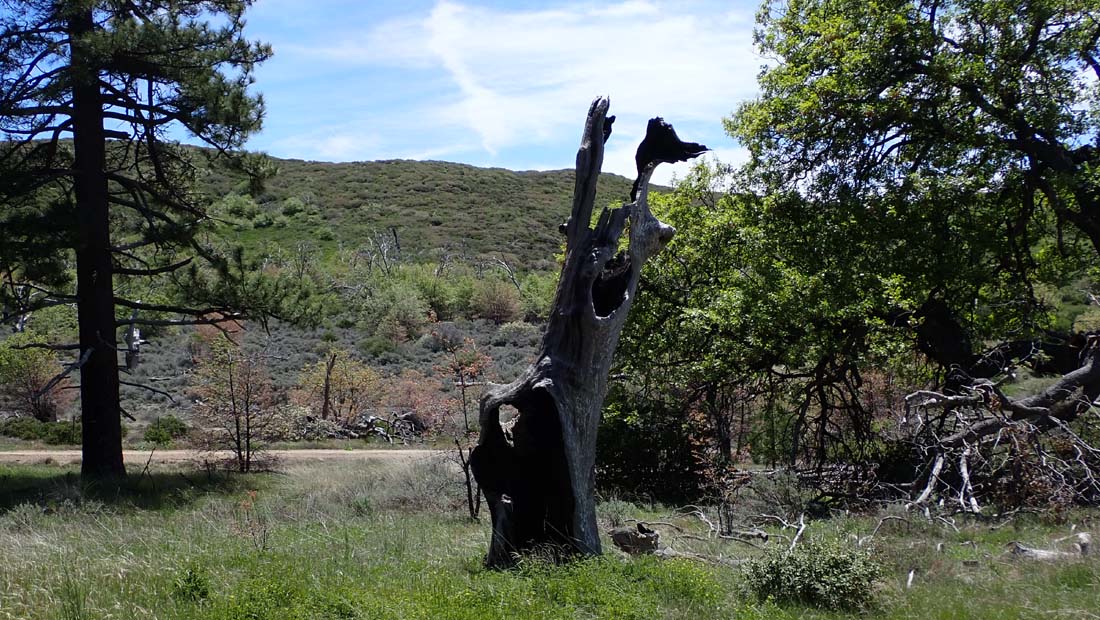 hk24051365.jpg - 209798 Bytes