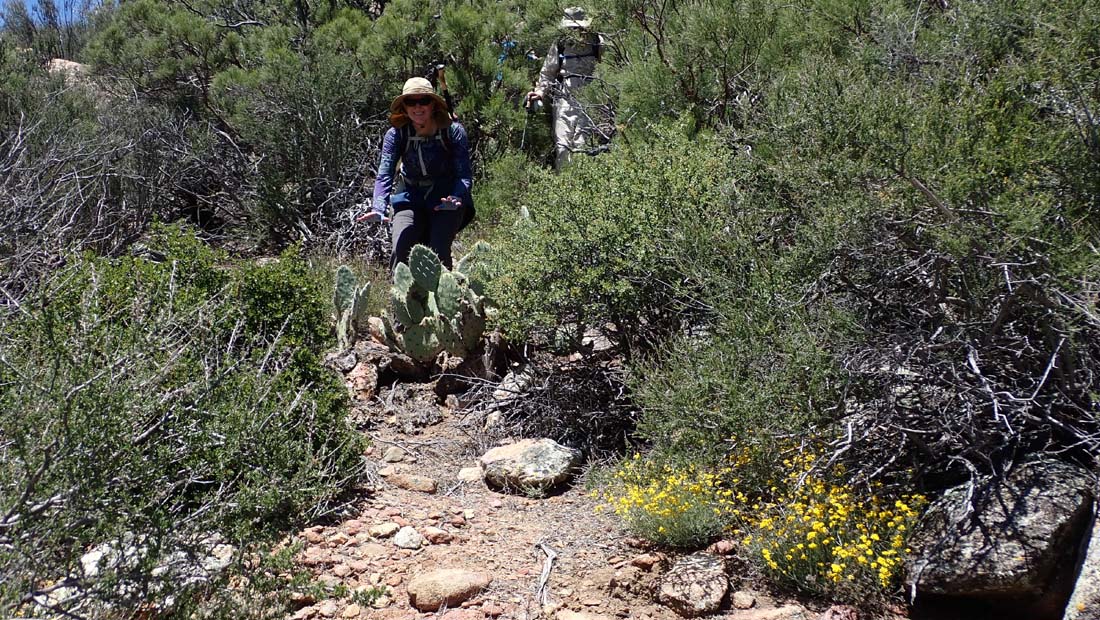 hk24052723.jpg - 293005 Bytes