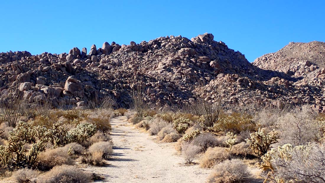 hk24110417.jpg - 200140 Bytes