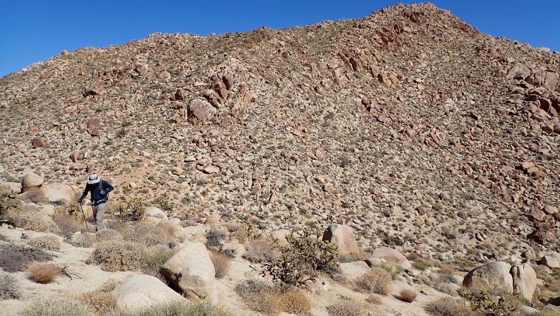 hk24110438.jpg - 244458 Bytes