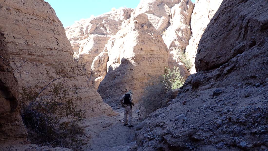 hk24111839.jpg - 160342 Bytes