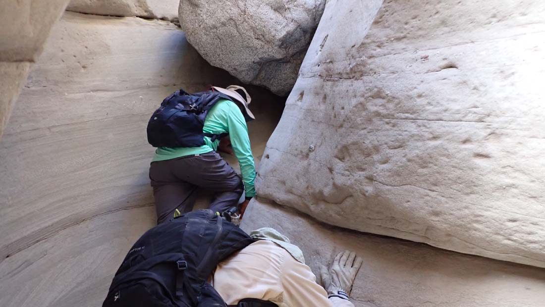 hk24112524.jpg - 89114 Bytes