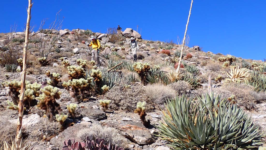 hk25022558.jpg - 214607 Bytes