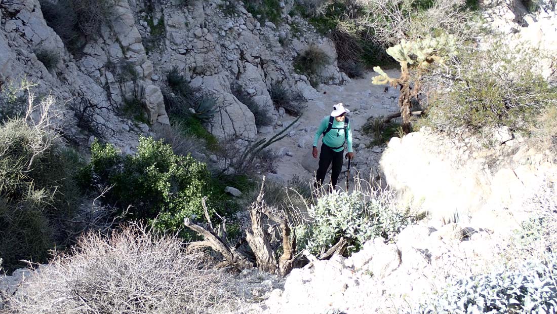 hk26020225.jpg - 216562 Bytes